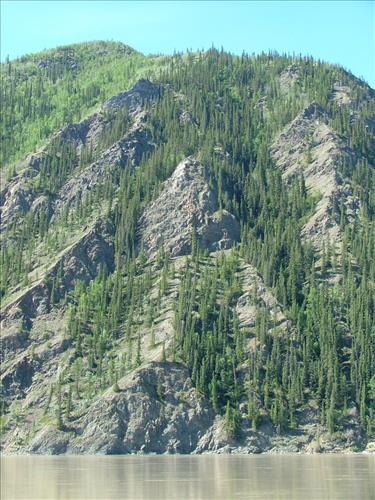 22 Yukon-Charley Rivers National Preserve Peregrine Falcon Survey July 2006