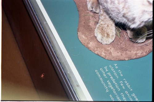 Color Photos of the old visitor center exhibits.