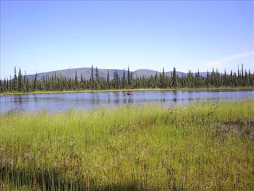 1 Yukon-Charley Rivers National Preserve Water Quality Ponds 2003