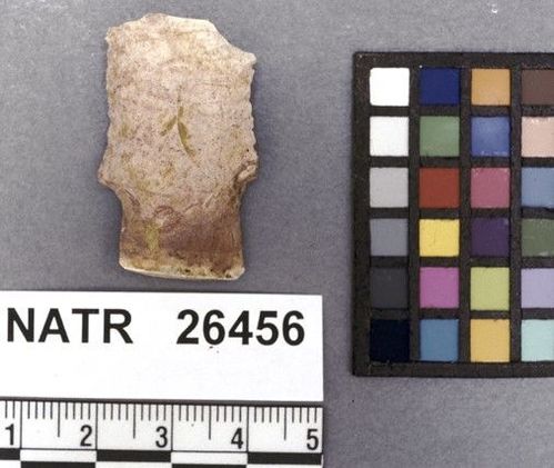 NATR   26456 -- Untyped projectile point