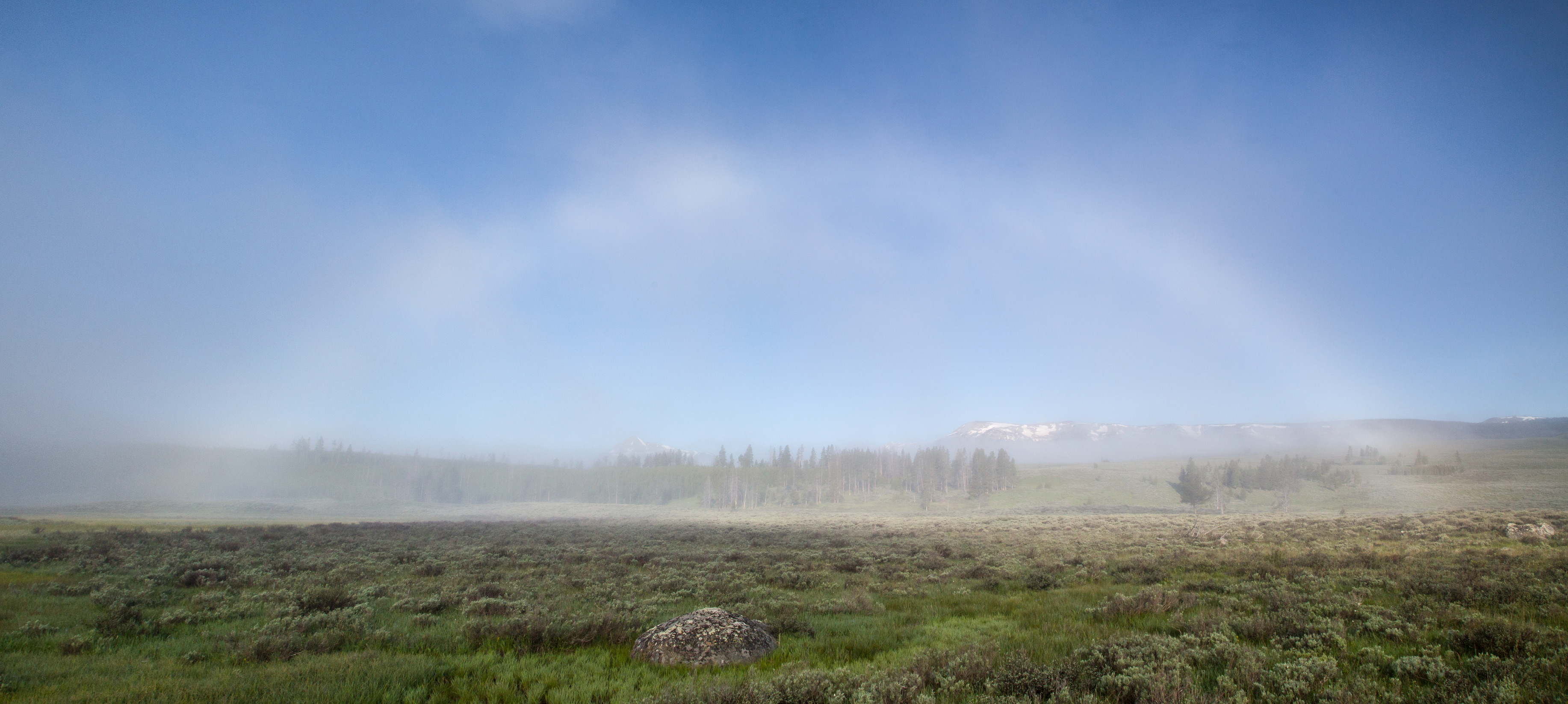 A full fog bow in a sagebrush flat