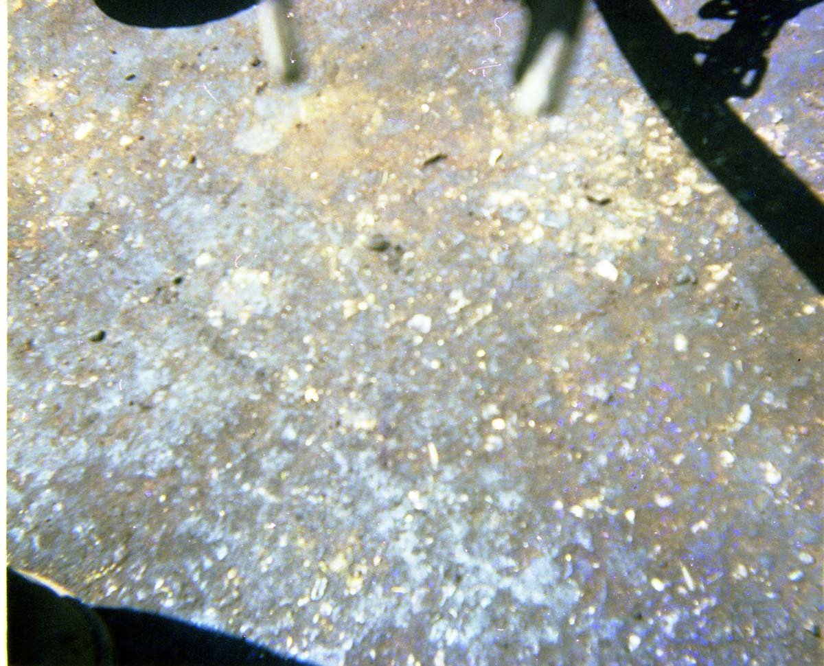 Color Photos of park trailers.