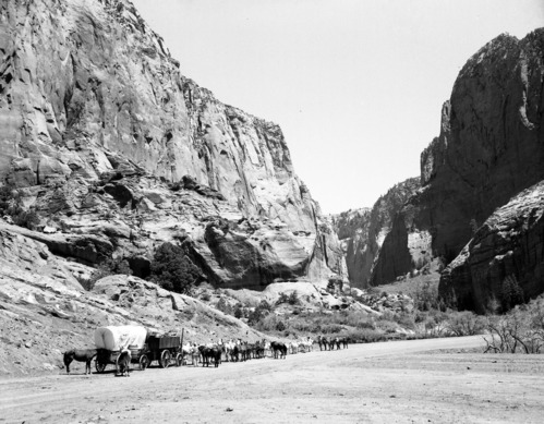 Jean DeHaven and men standing with 20-mule team and wagon on Taylor Creek Road. Group en route from Death Valley to Wessington, South Dakota. Kolob Finger Canyons. Trip taken in commemoration of the National Park Service's 50th Anniversary.