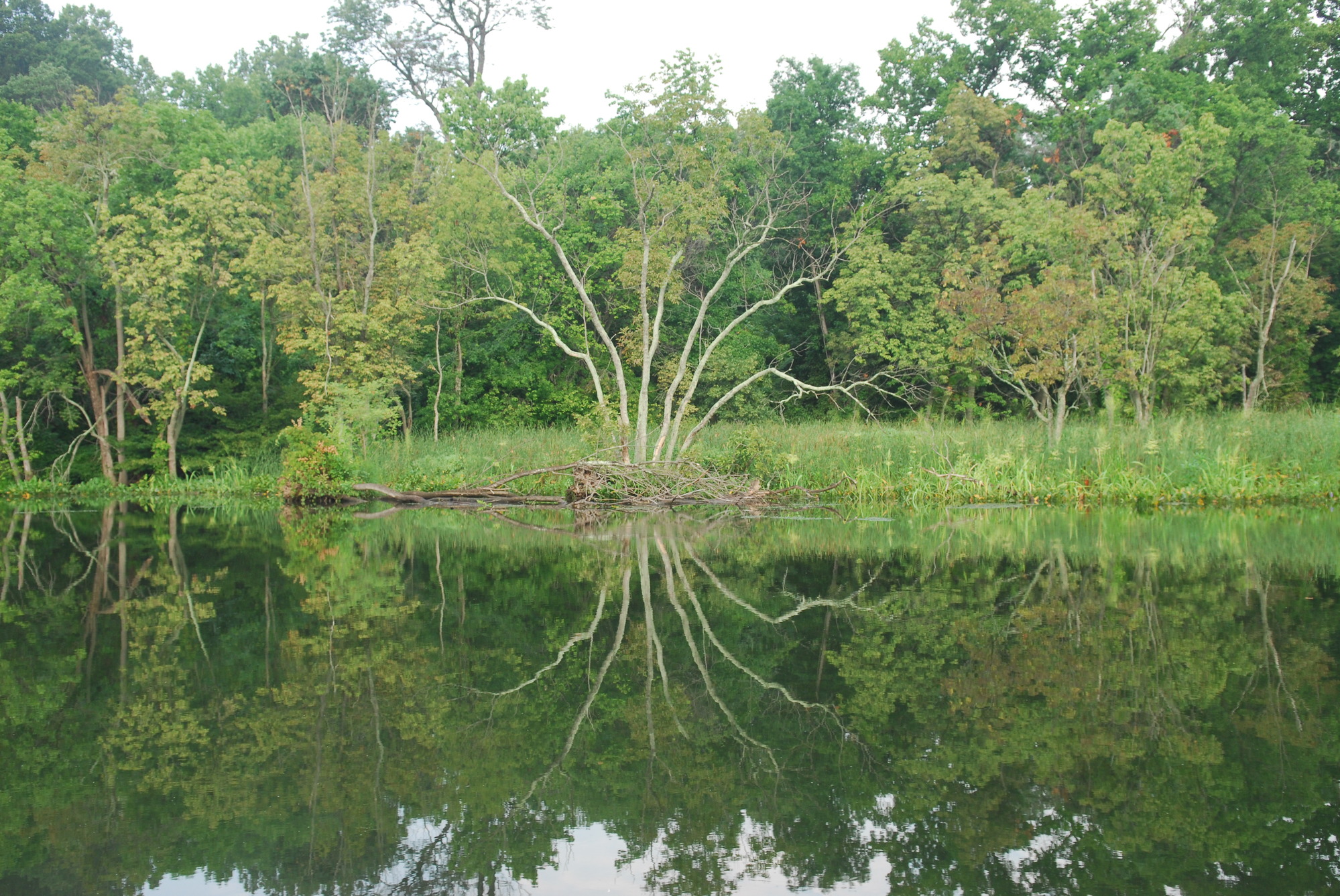 Dyke Marsh Wildlife Preserve