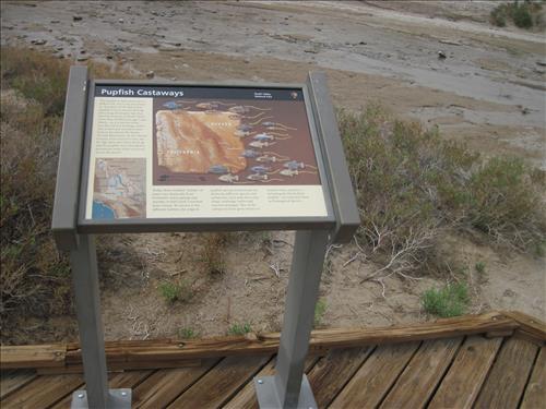Death Valley National Park Waysides 2 of 2