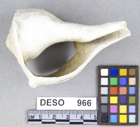 DESO     966 -- Tool, Shell