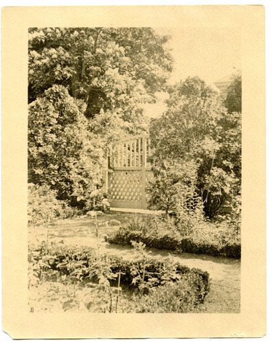 Black and white photograph of garden gate.