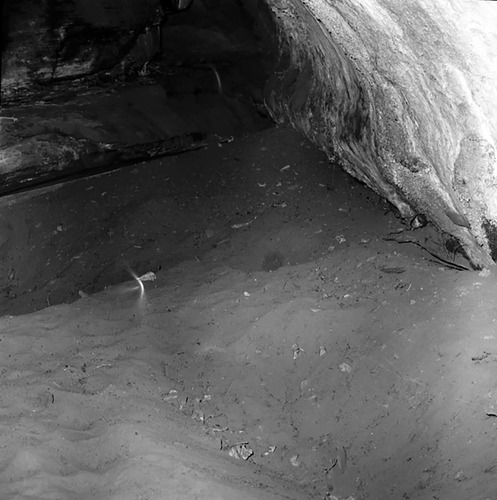 42WS0069. Indian cave in Cave Valley for documenting pot hunter activities and vandalism.