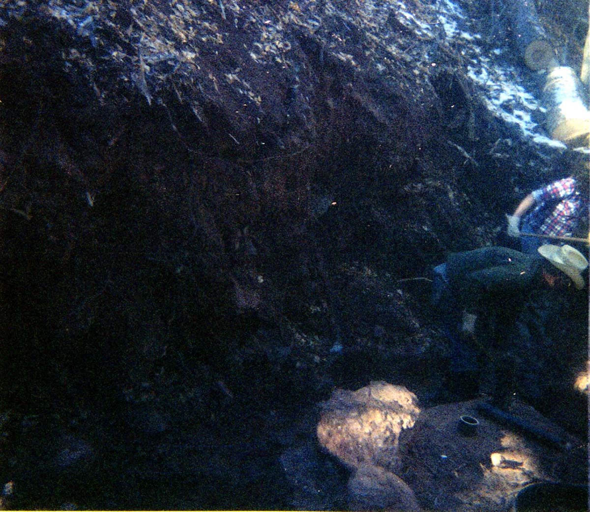 The construction of the Wiley Spring water pipeline.