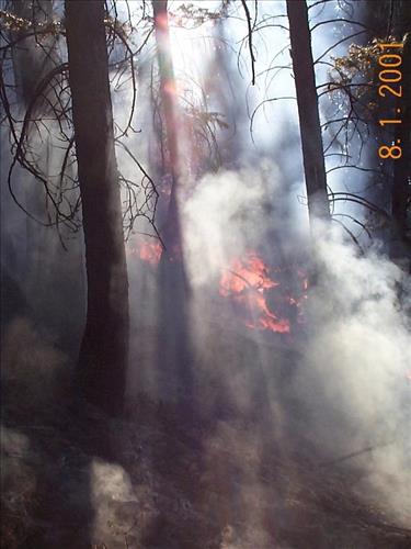 Ecklund Complex at Dinosaur National Monument - Wildland Fires, September 2001