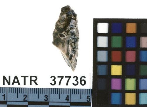 NATR   37736 -- Untyped projectile point