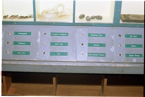 Color Photos of the old visitor center exhibits.