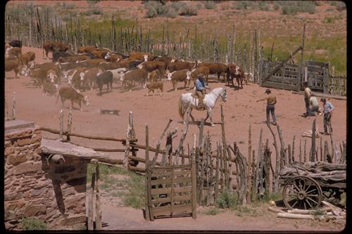 Views at Pipe Spring National Monument, Arizona