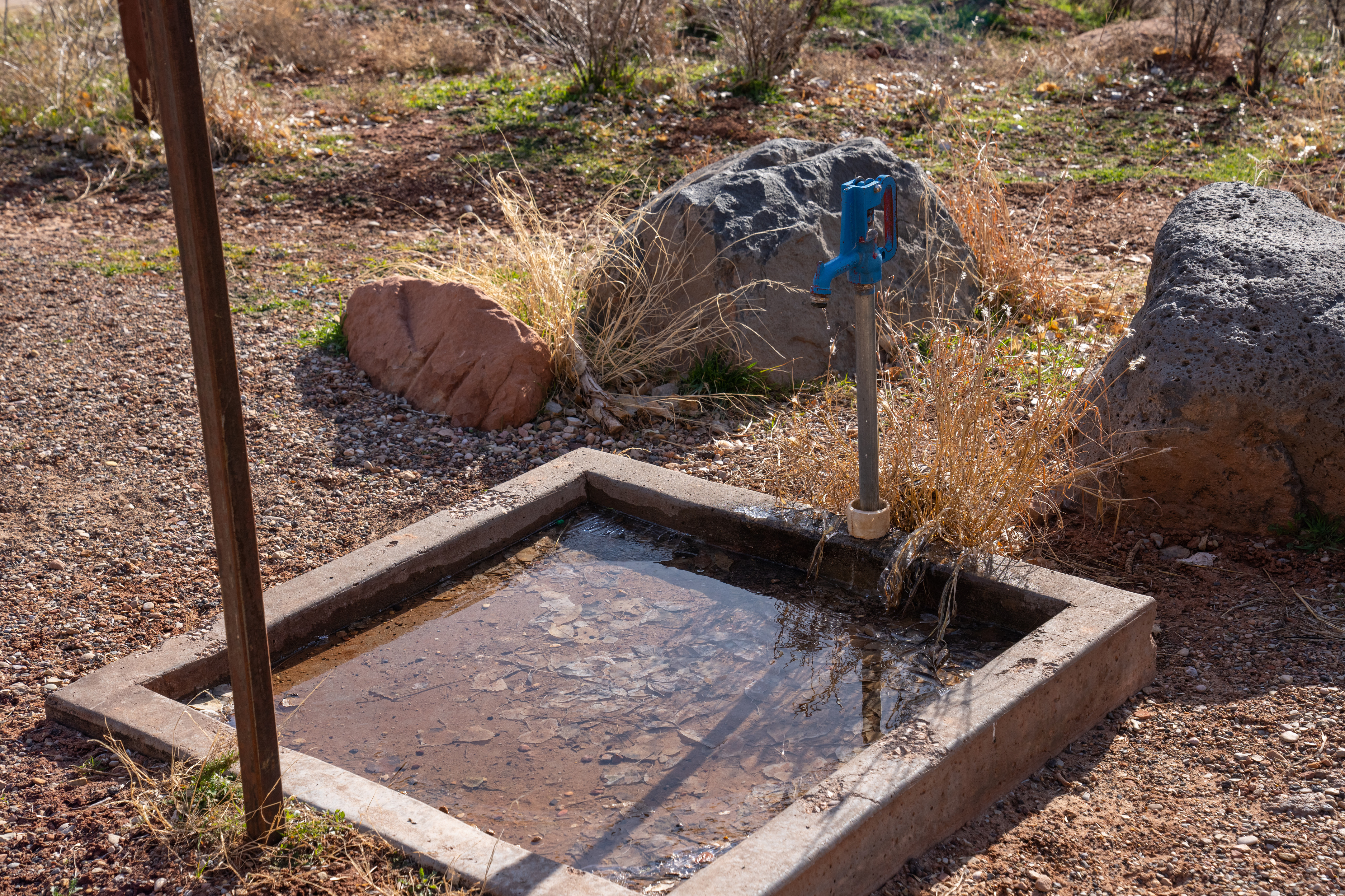 Small blue faucet leaking into a concrete square filled with water and leaves.