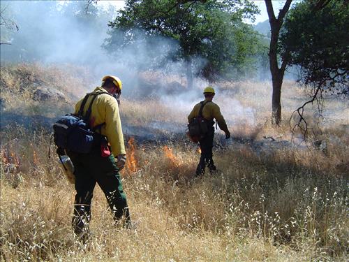 Prescribed burn using drip torch ignition at Ash Mountain Headquarters, Sequoia and Kings Canyon National Parks, May 2004
