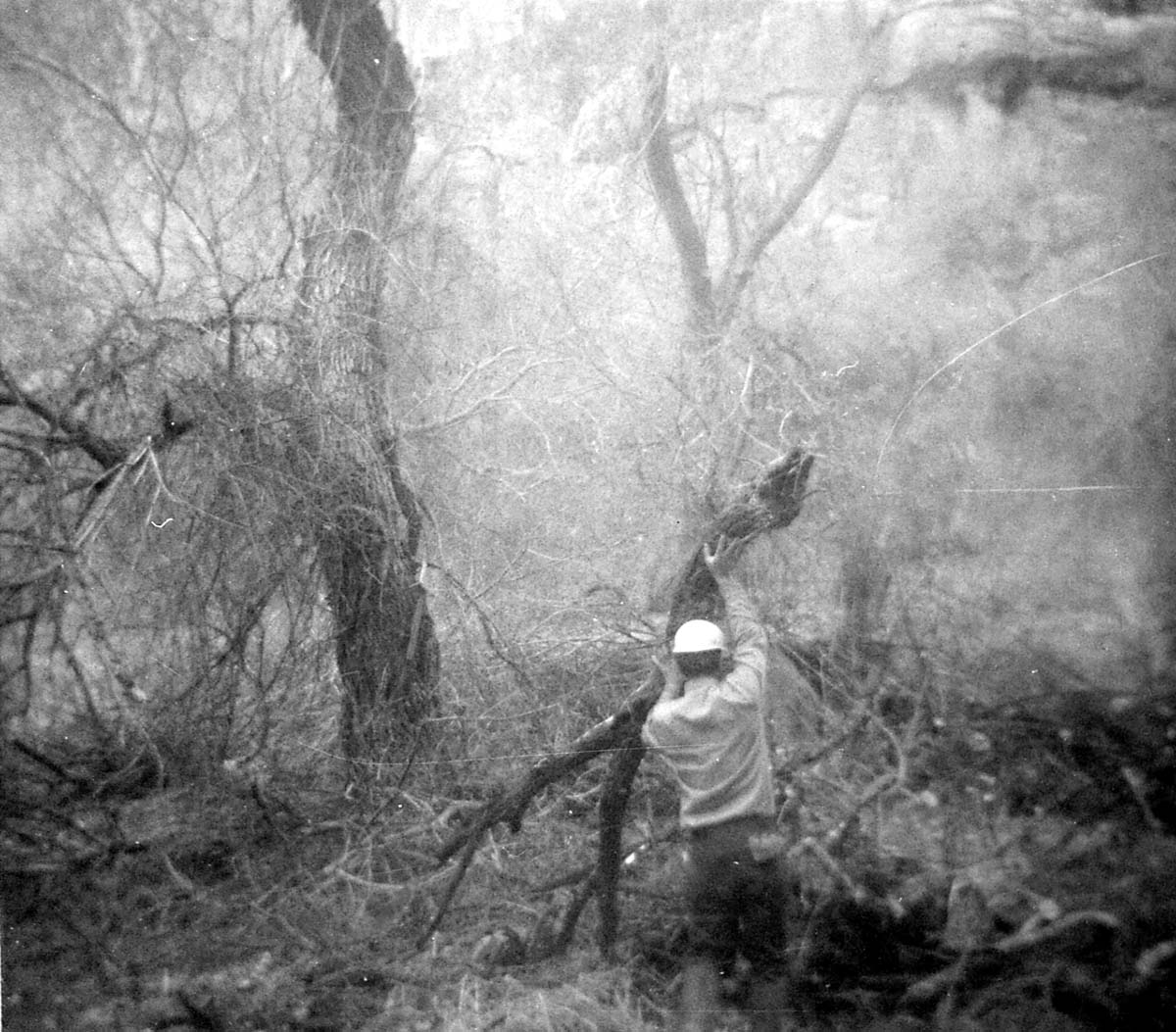 Worker clearing the lodge spray field prior to set up.