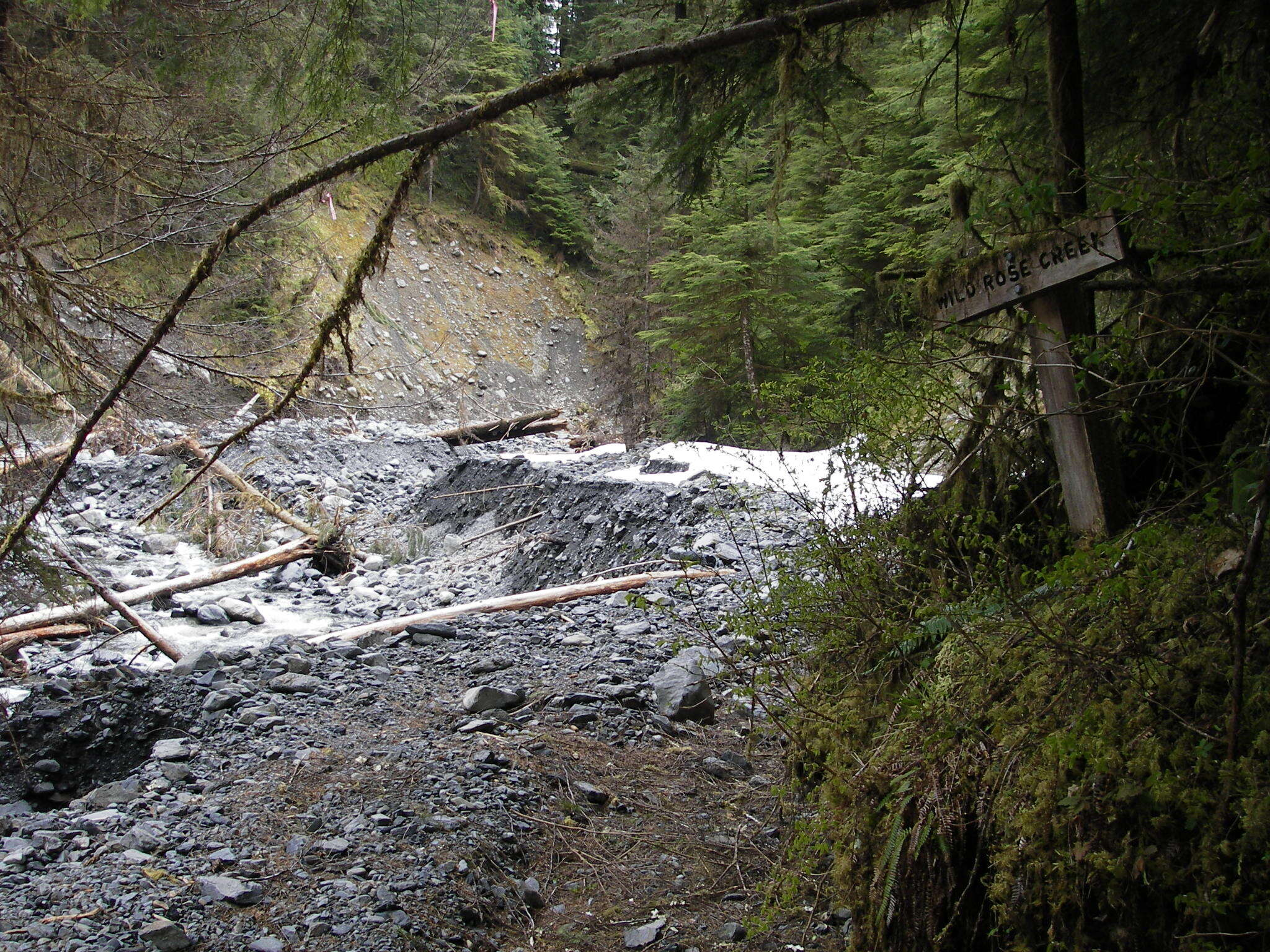 Washed-out streambed with steep rocky banks and woody debris.