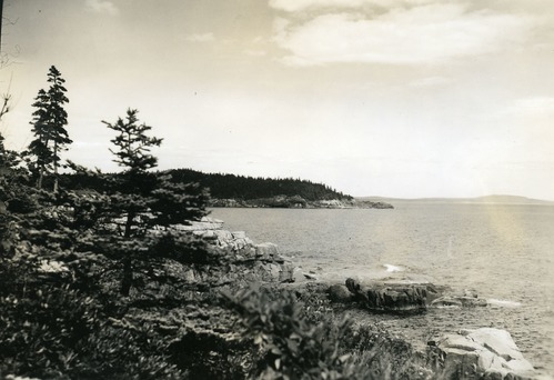 GREAT HEAD FROM OCEAN DRIVE