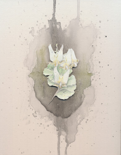 white flowers on a back and white background