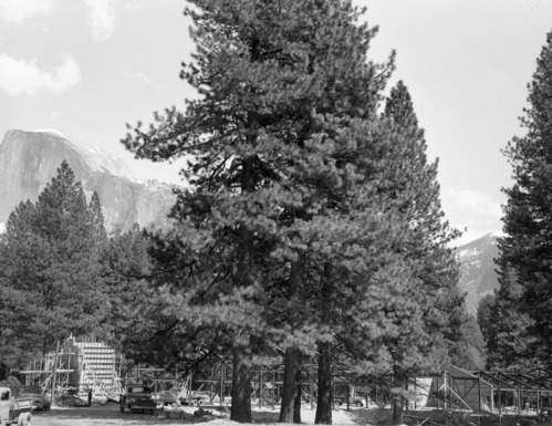 New Merchandise Center Under Construction, Yosemite Village. Mission 66 Cooperative project.