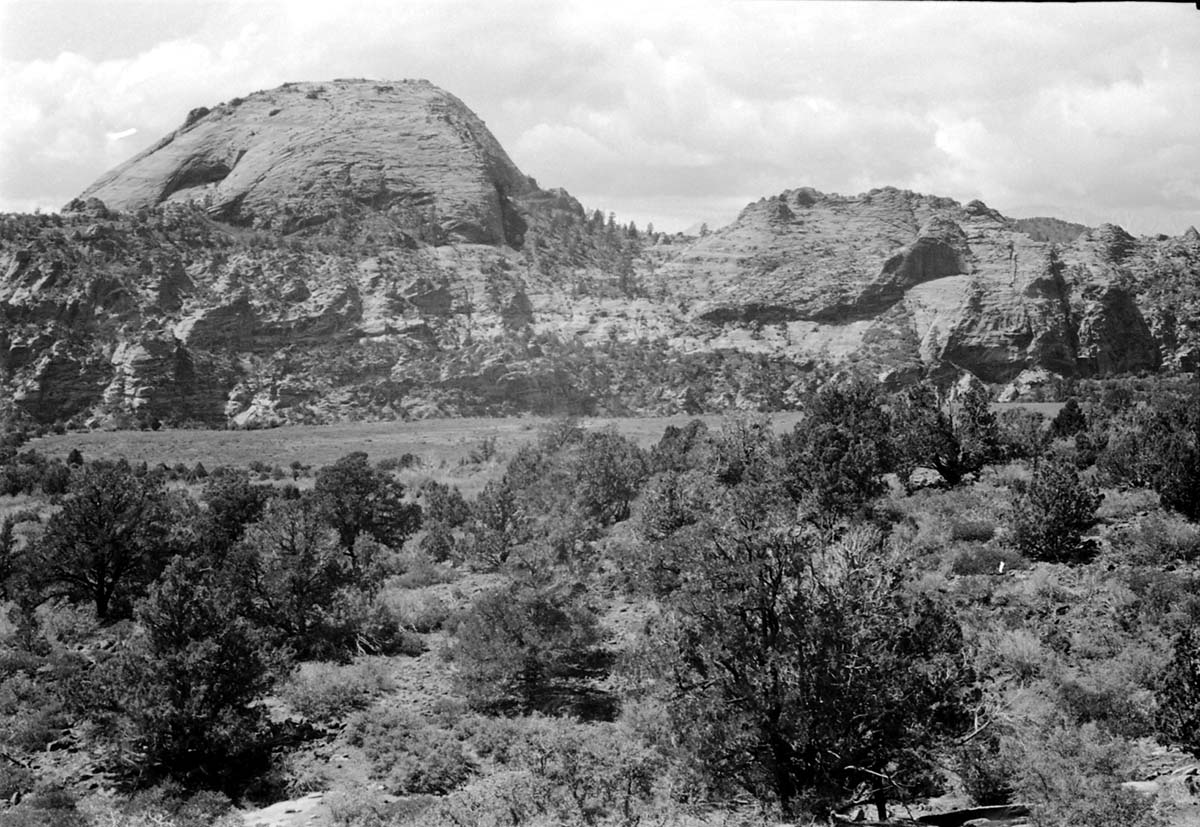 BW photo of the 1937 grazing study 35MM.