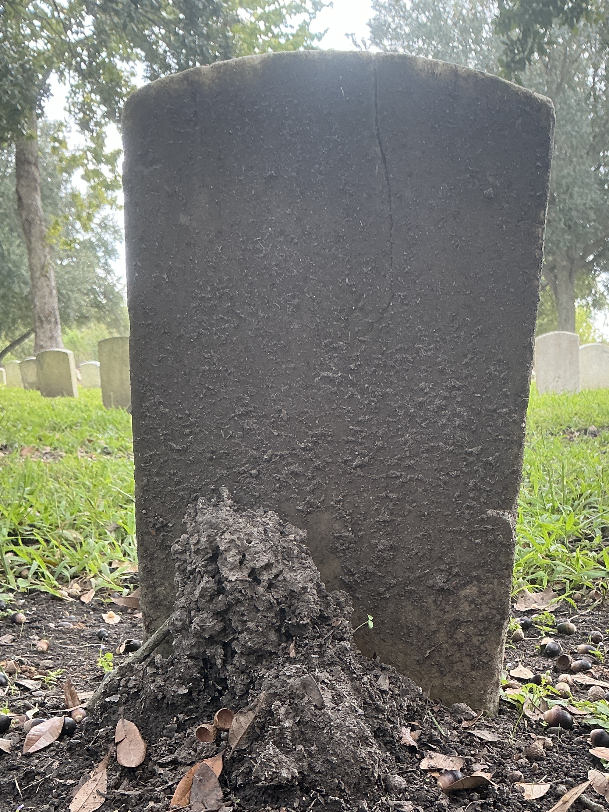 Back of historic upright marble headstone with recessed shield face.