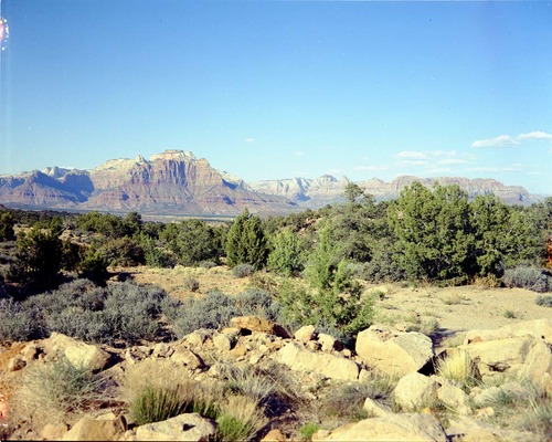 Color Photos of Zion Canyon - 4x5.