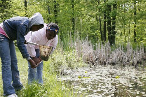 CVEEC Girl Scouts pond exploration 2