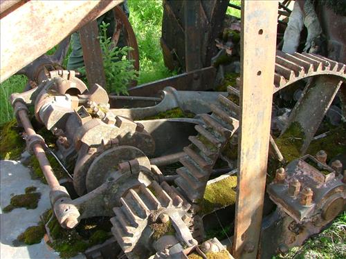 7 Yukon-Charley Rivers National Preserve, Peregrine Falcon Survey July 2006