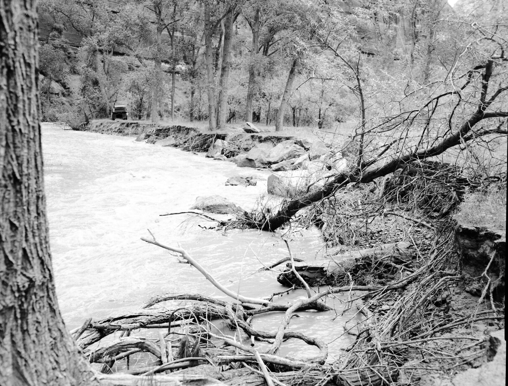 Virgin River rampaging near the Temple of Sinawava. Control work necessary and carried out by dumping large boulders in the river.