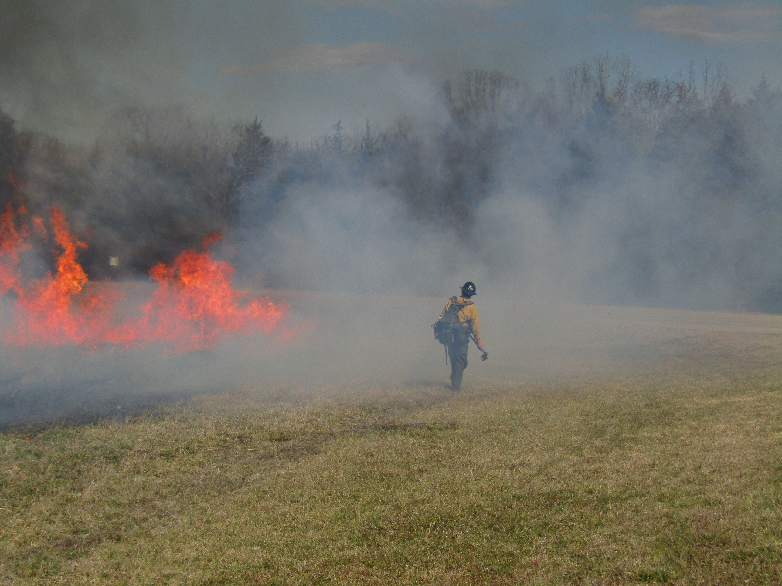 A fire fighter stands in the smoke will flames that are taller than the fire fighter rise on the left. 