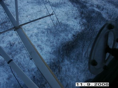 3 Yukon-Charley Rivers National Preserve Moose Survey November 2006