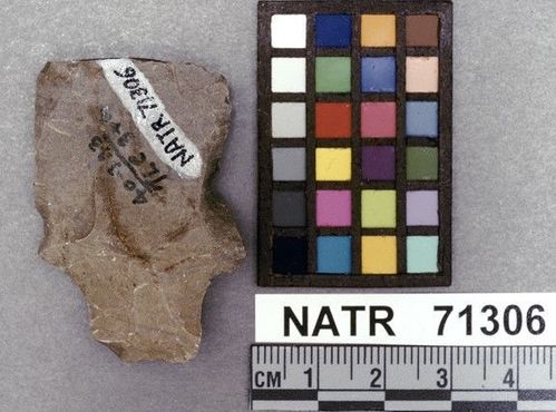 NATR   71306 -- Ledbetter Cluster projectile point