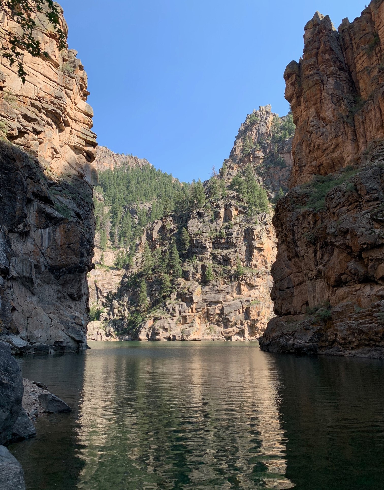 Vertical canyon walls above a body of water. Trees grow along the cliffs across the scene and rocks line the water's edge