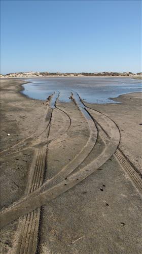 tidal flat disturbance PAIS