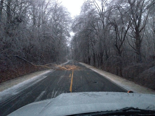  A  small tree has fallen across the road. 