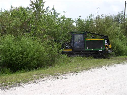 Mechanical fuels reduction at Big Cypress National Preserve, 2002