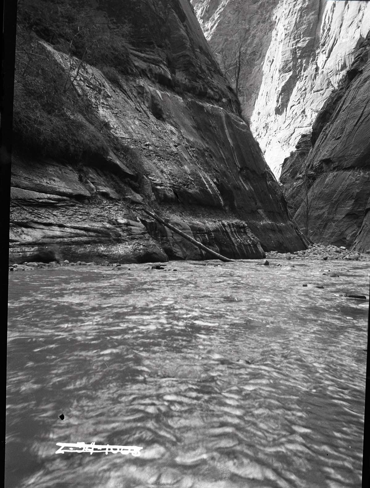 Scene in the Narrows - Virgin River Canyon.