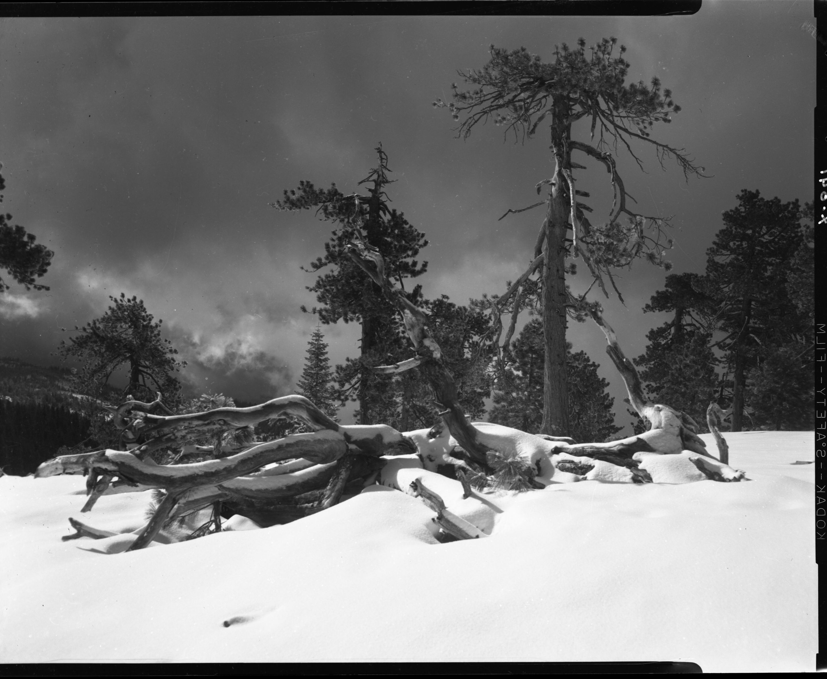 Storm scene at Tempo Dome near Badger Pass.