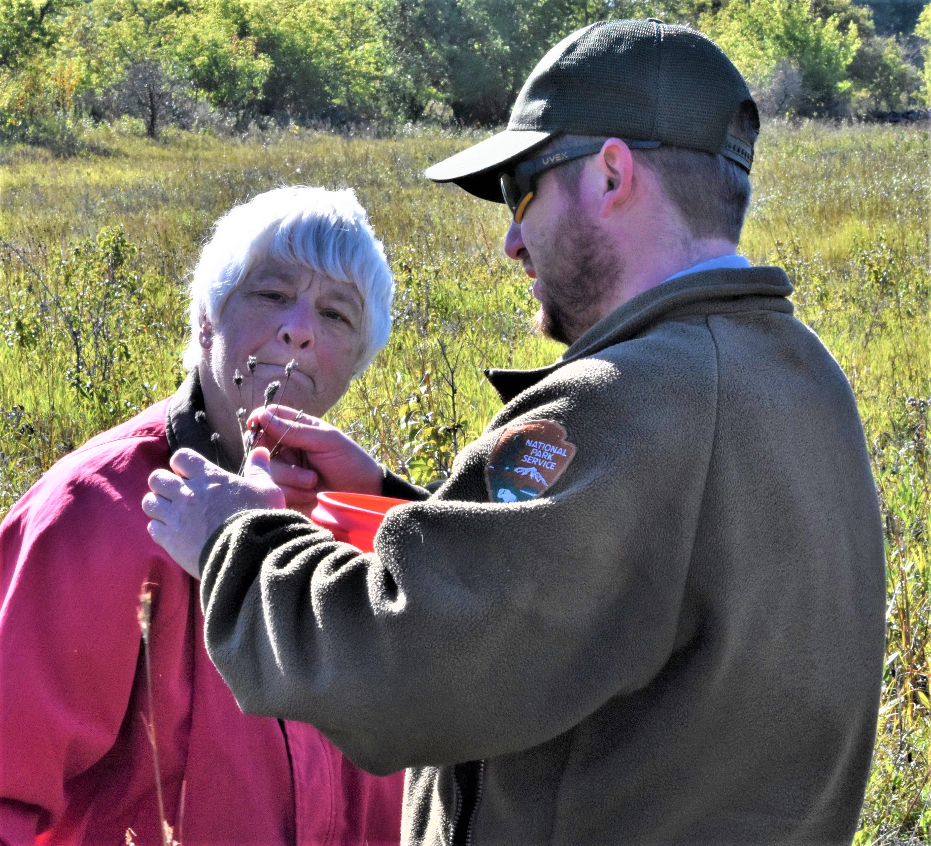 Ranger shows volunteer how to collect prairie seed.