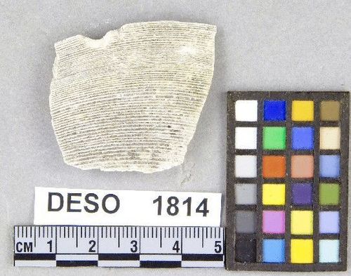 DESO    1814 -- Chopper