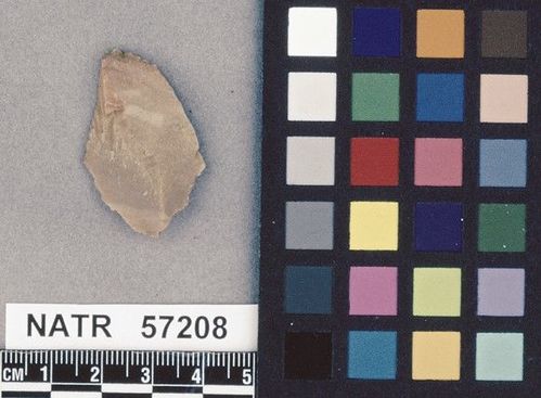 NATR   57208 -- Little Bear Creek projectile point