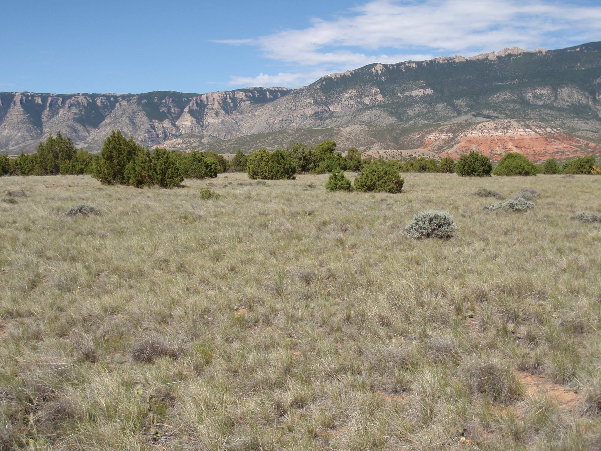 Image of the vegetation and landscape at photo point in Bighorn Canyon NRA 