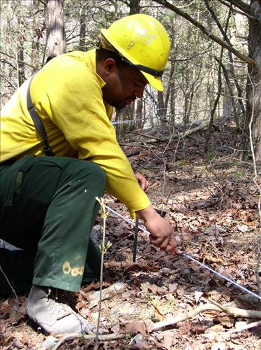 Fire effects monitoring on Jim Lee Prescribed burn, Mammoth Cave National Park, 2004