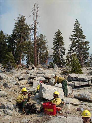 Drip torch ignition on Highbridge Prescribed Burn, Sequoia and Kings Canyon National Parks, October 2005