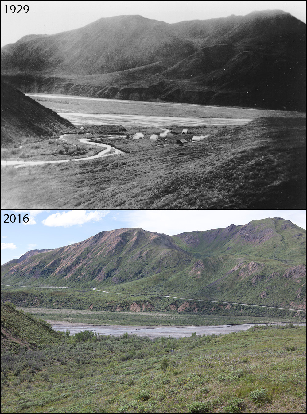 A photo pair showing Human development and impacts at Sable Pass: 1929-2016