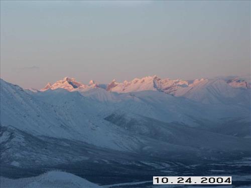 7 Gates of the Arctic National Park and Preserve Koyukuk Moose Survey 2004