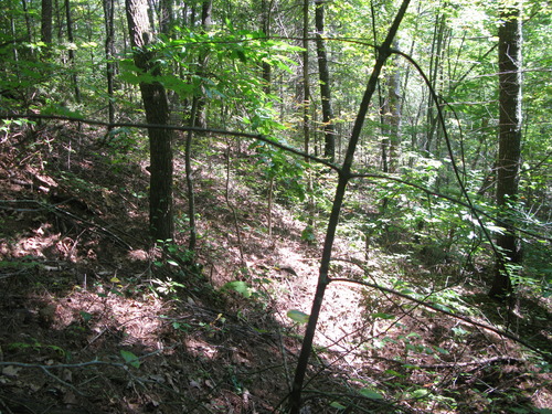 GRSM Accuracy Assessment. Plot Code: GRSM_AA_0401_3