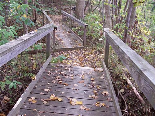 FOWA-Existing Conditions at Fort Washington Park, October 15, 2008