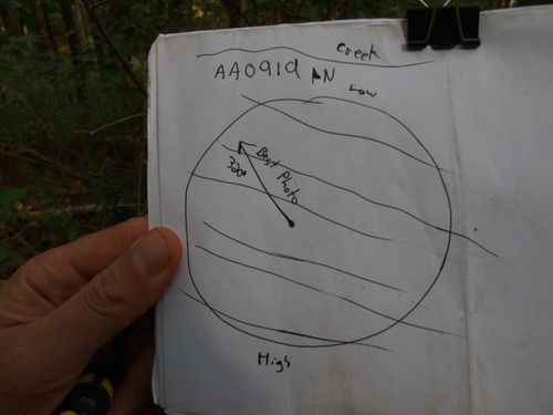 GRSM Accuracy Assessment. Plot Code: GRSM_AA_0919_7
